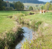 Blick hoch ins Tal