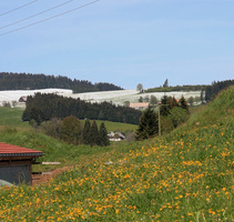 Frhling bei uns, Winter oben in den Bergen