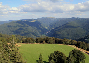 Blick vom Schauinsland Blick vom Schauinsland