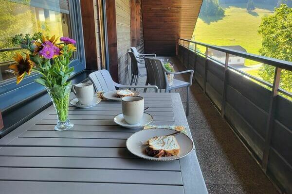 Balkon mit PanoramaaussicBalkon mit Panoramaaussicht der Ferienwohnung Baumkrone***** auf dem Oberh�fenhof im Schwarzwald