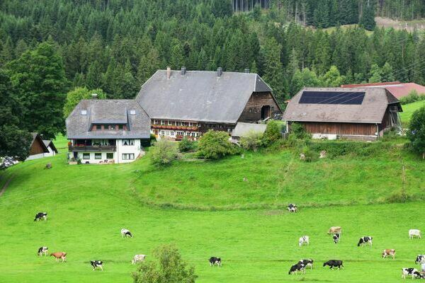 Photovoltaik auf dem Oberh�fenhof im Jostal bei Titisee-Neustadt im Schwarzwald