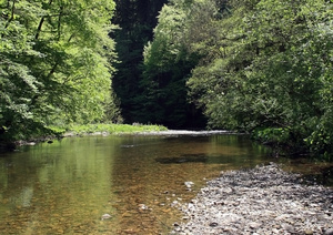 Wutachschlucht Wutachschlucht