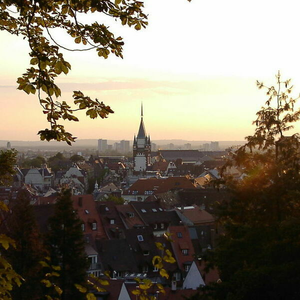 Blick-vom-Schauinsland