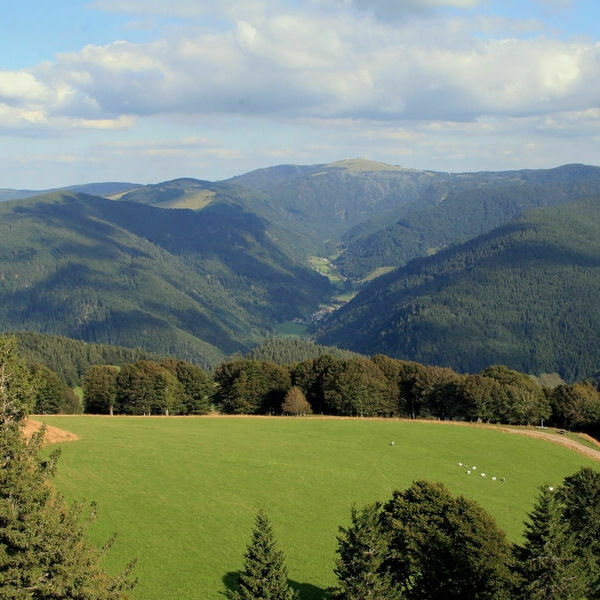 Blick-vom-Schauinsland-zum-Feldberg-2-