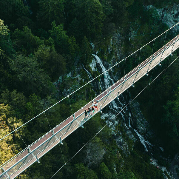 Blackforestline Todtnau 